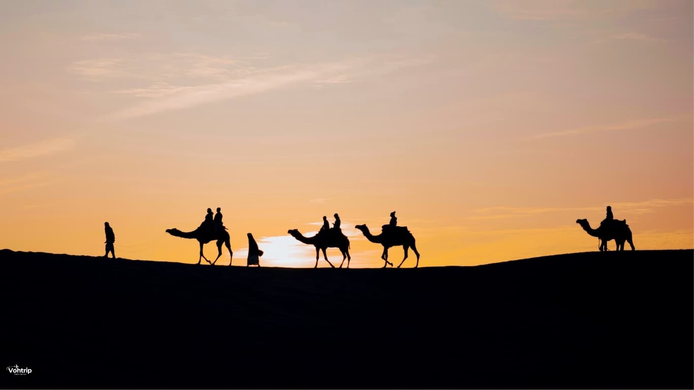 VohTrip luxury travel