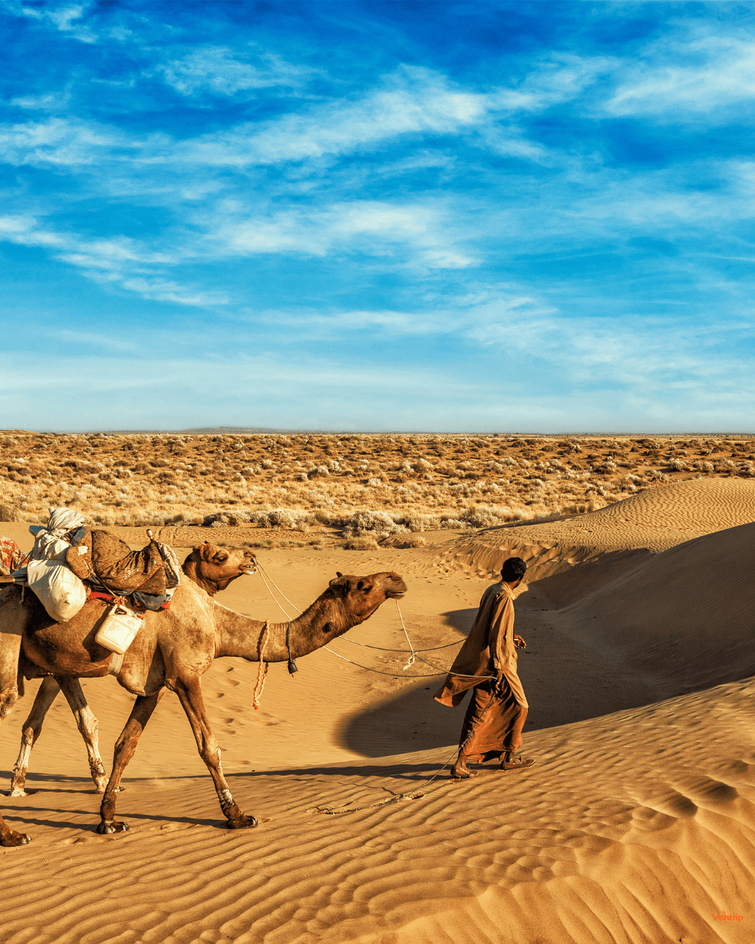 Rajasthan Desert Safari